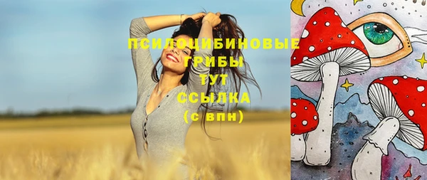 дурь Нефтекумск