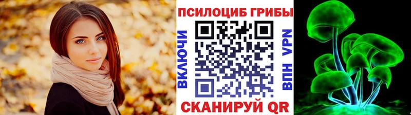 Псилоцибиновые грибы Psilocybe  Ярославль 