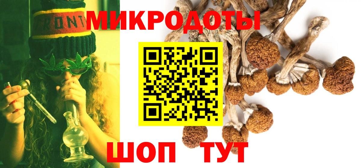 наркошоп  Ярославль  Псилоцибиновые грибы Psilocybe 