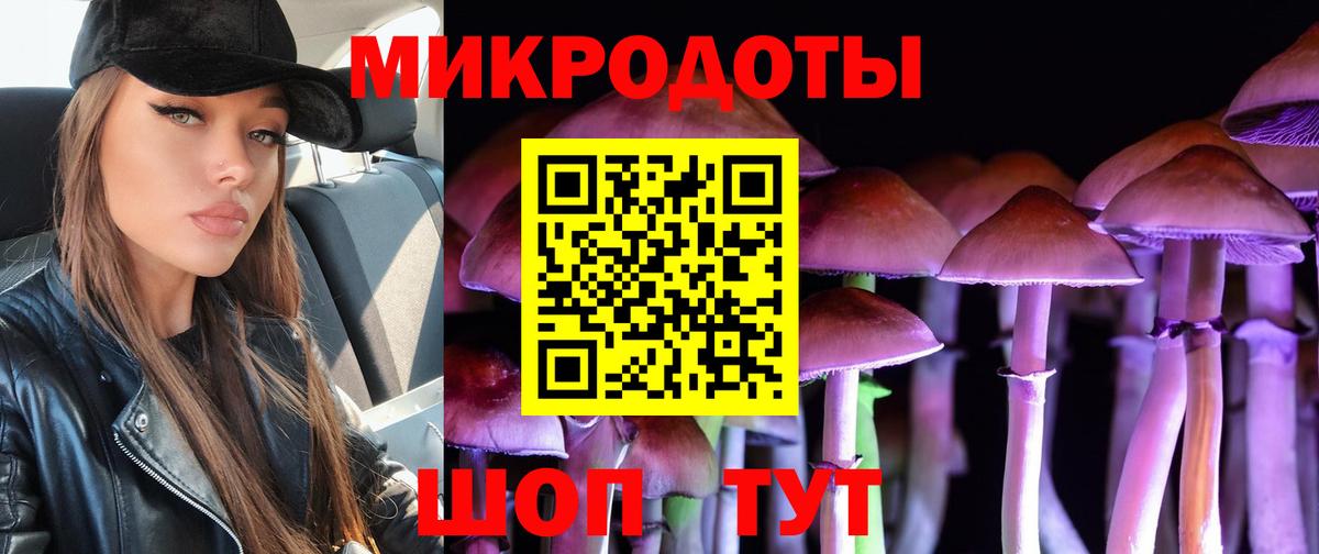 Ярославль  Псилоцибиновые грибы Cubensis  Вход с VPN  Галлюциногенные грибы Cubensis 