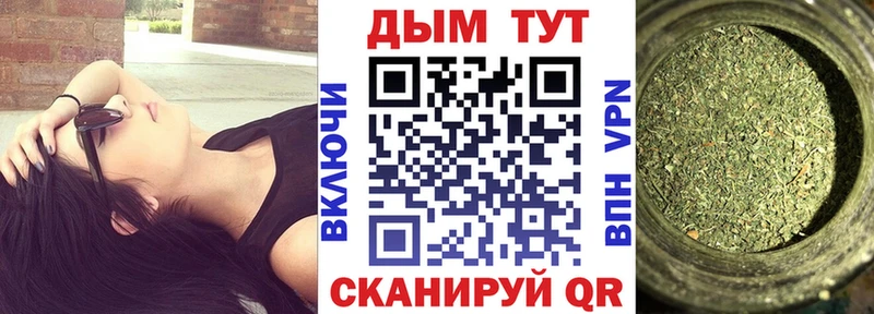 где найти   Ярославль  Бошки марихуана OG Kush 